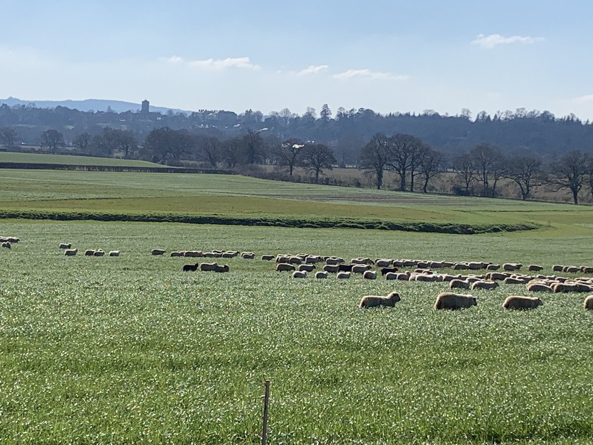 Omacast Ltd tweet media