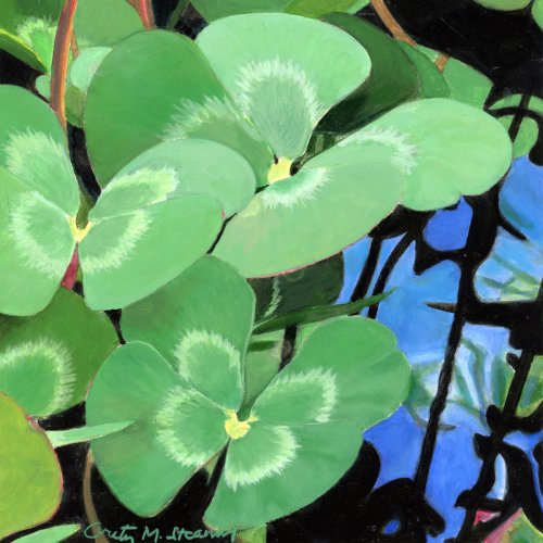Artspan_com's tweet photo. 'Water Clover' by Artspan artist Greta M. Stearns. Prints are available:  https://t.co/tHT4kW8ixb
#art #WomensArt https://t.co/2M1nQC2lny