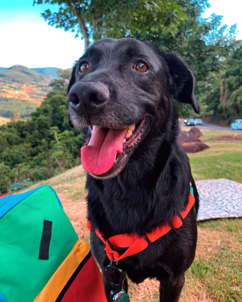 LUKE & ARYA tweet media