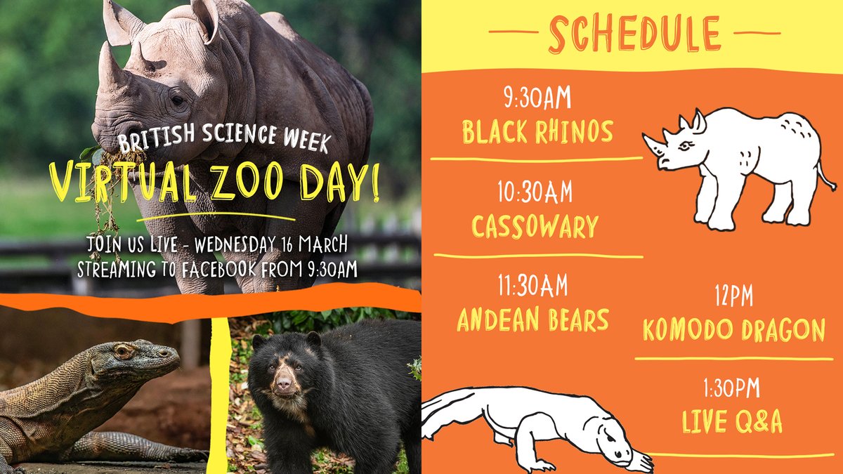 👨‍🔬LIVE VIRTUAL ZOO DAY – BRITISH SCIENCE WEEK 👩‍🔬

Tune in on our Facebook page to enjoy a HUGE day of LIVE events from the zoo featuring eastern black rhinos, the southern cassowary, Andean bears, Komodo dragons and a LIVE Q&amp;A! 🌍❤️

📅 16/03
⏰ 9:30am
📺 bit.ly/35Dtm2X