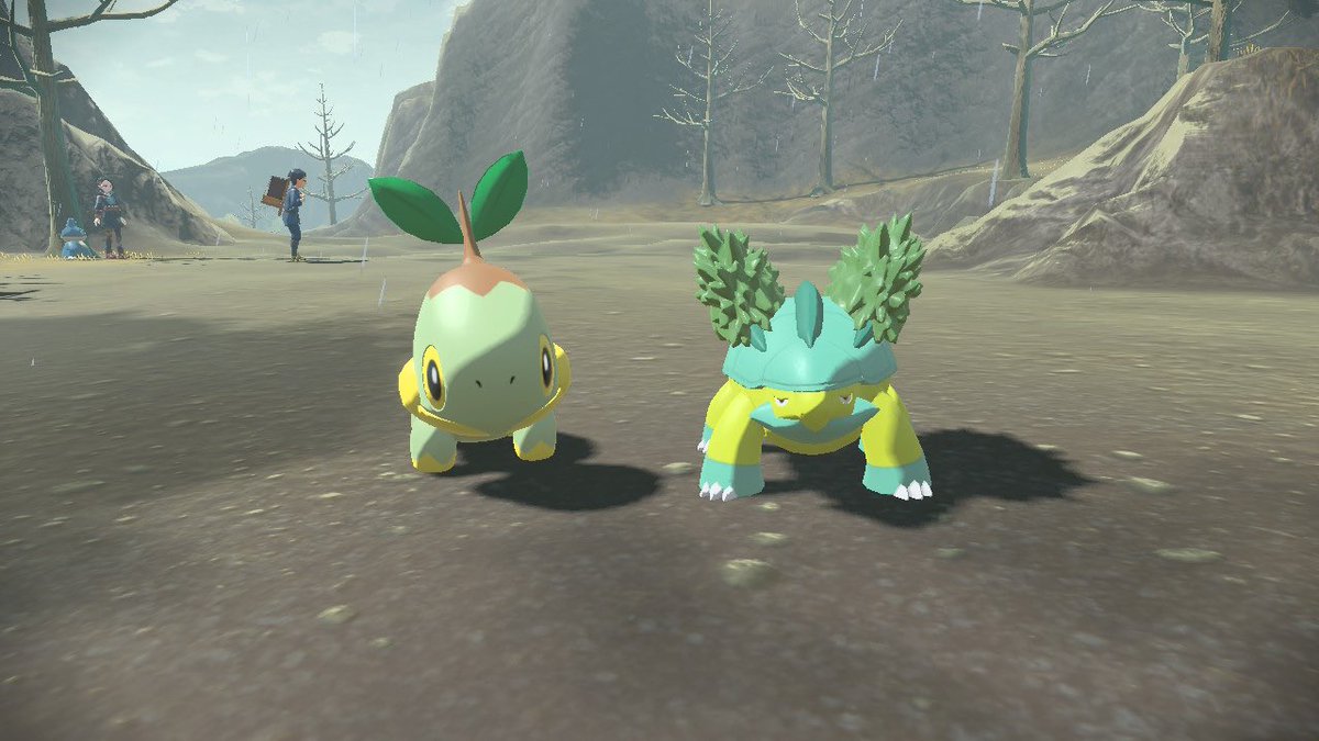 MegaMilotic's tweet image. I caught the tiniest shiny Grotle ever and I adore him 😍

#PokemonLegendsArceus #NintendoSwitch