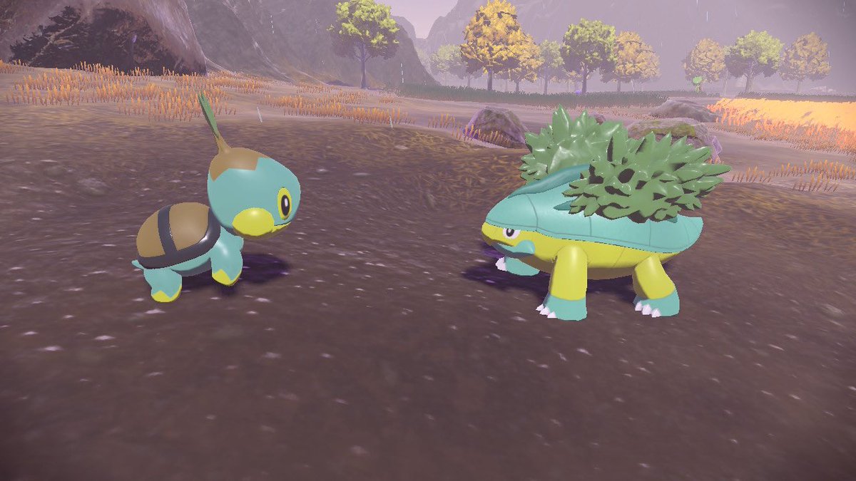 MegaMilotic's tweet image. I caught the tiniest shiny Grotle ever and I adore him 😍

#PokemonLegendsArceus #NintendoSwitch