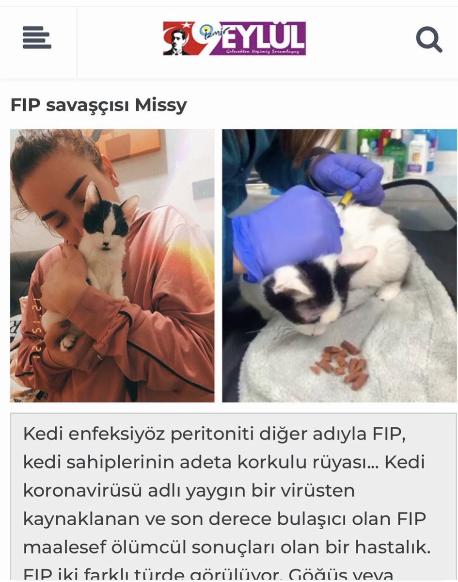 😍 #catlovers #kediler #fip #animals #follobackforfolloback #animalshelp