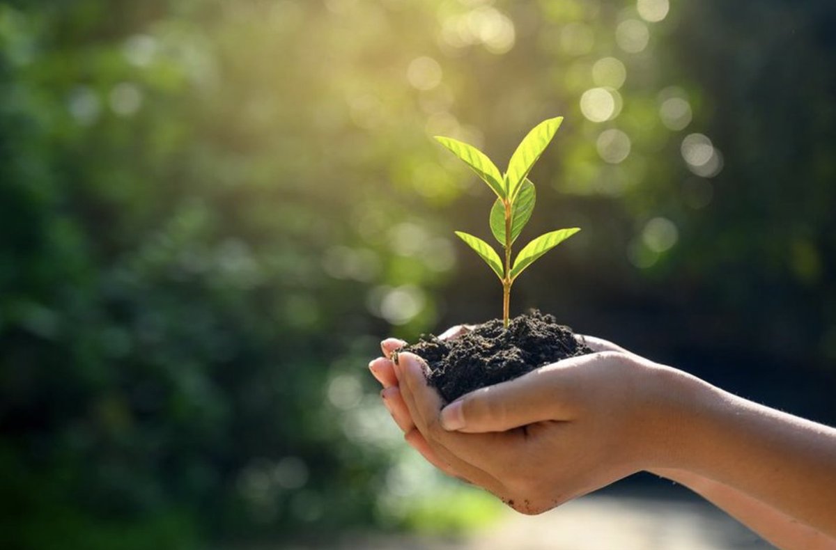 BBBGWP's tweet photo. Purchases don’t happen without purpose. Not anymore.
Through BBB4Good, we’re supporting you and other consumers by highlighting businesses attached to good causes. Learn more: https://t.co/MQYooicN5w
#GrowSomethingGood #BBBBetter #SocialImpact https://t.co/qcQSOSoPAa