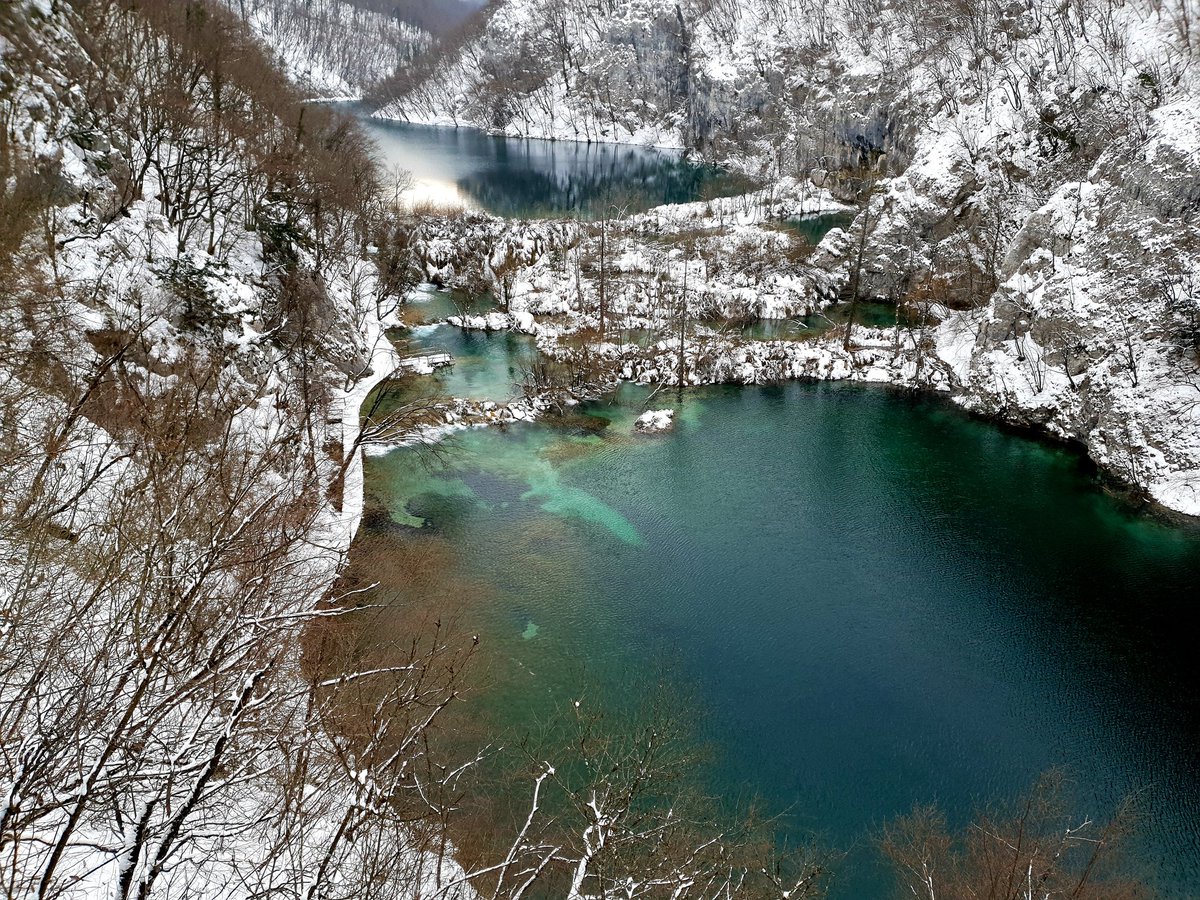 Paul Dunn tweet media