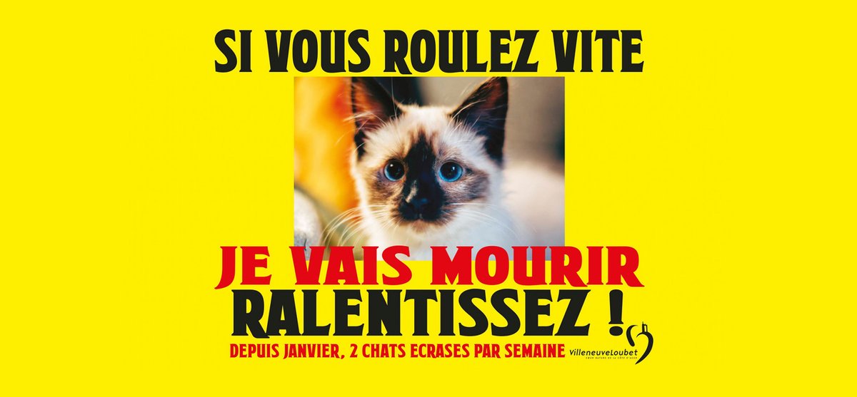 🔴Villeneuve-Loubet : 2 #chats écrasés par semaine sur les routes depuis janvier ! C’est ce qu’annonce la campagne de sensibilisation à la sécurité routière de la ville de Villeneuve-Loubet dont le maire, Lionel Luca, ancien administrateur de la #FBB, est un amoureux des chats🐈‍⬛
