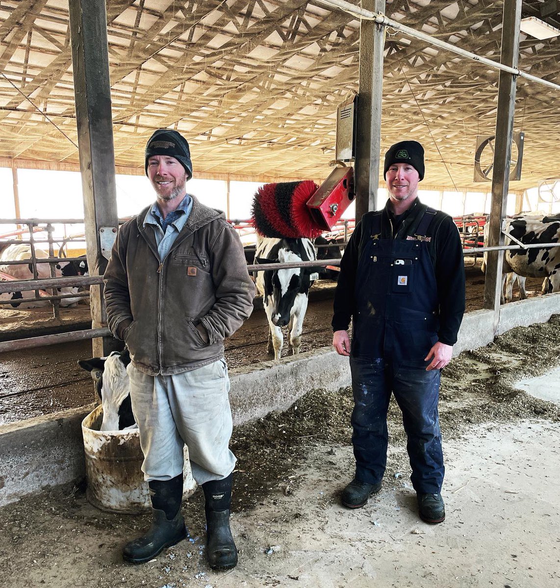 GRRobotics's tweet image. A huge congratulations on 10 years of robotic milking with @LelyAstronaut A4’s for Musthaven Farms. 🎉

“The flexibility that robotic milking offers and the increased production that we saw, we wouldn’t milk cows any other way.” -Chris Mustard

#10yearanniversary #lelyrobot