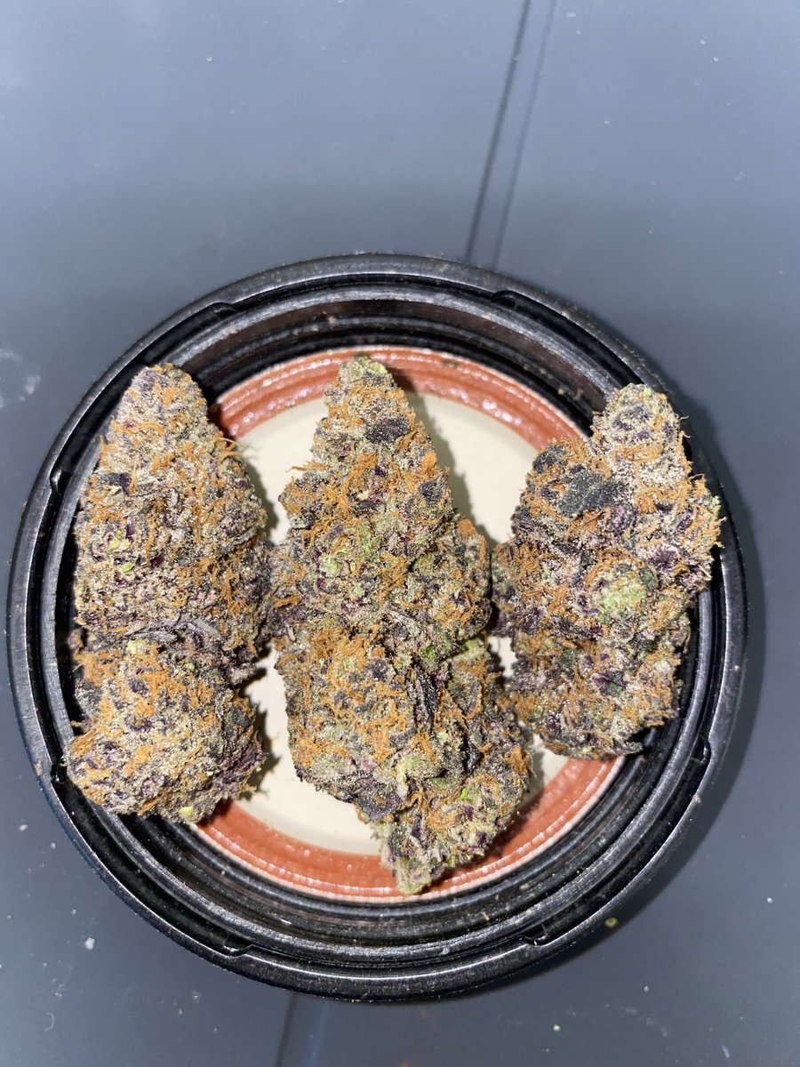 Flowersbyfidels's tweet image. LAMELO bred by FIDELS

Lineage:
LONDON POUND CAKE  x POMELO ANDERSON