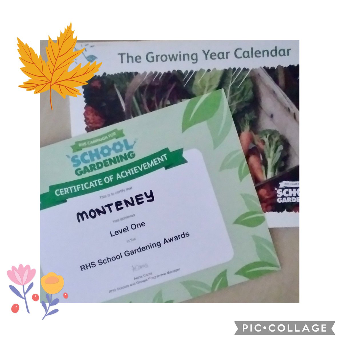 So proud of our little gardening club!! Level One achieved already 🍃🍃 <a href="/MonteneyPrimary/">News</a> @RHSSchools 

#afterschoolclub #littlegrowers