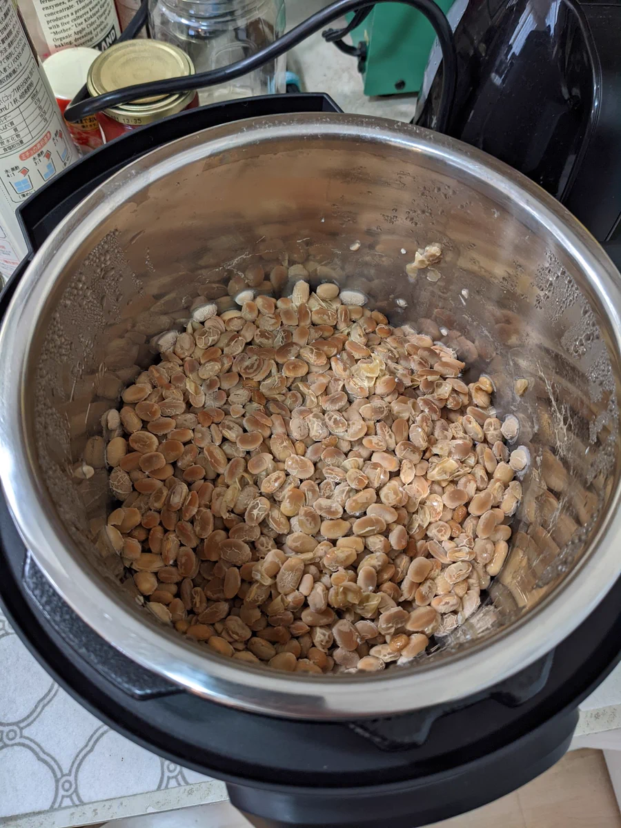 アメリカ在住の駐在員さん！ついに納豆を手作りしてしまう！！