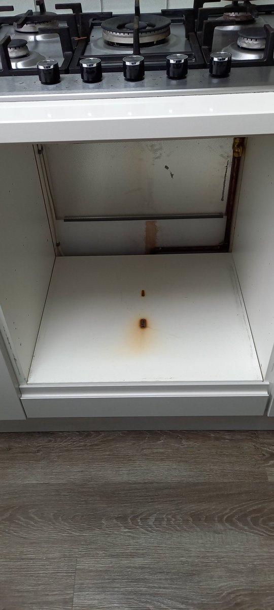 c4kky's tweet photo. @BBCWatchdog @Beko Told no correspondence will be entered into via Twitter
I've still not had any more correspondence from the Beko customer services. All information and documents have been sent.
It looks like it'll be 4 weeks for my family and I to be without an oven.
Thanks. https://t.co/0ur6Y6g9hE