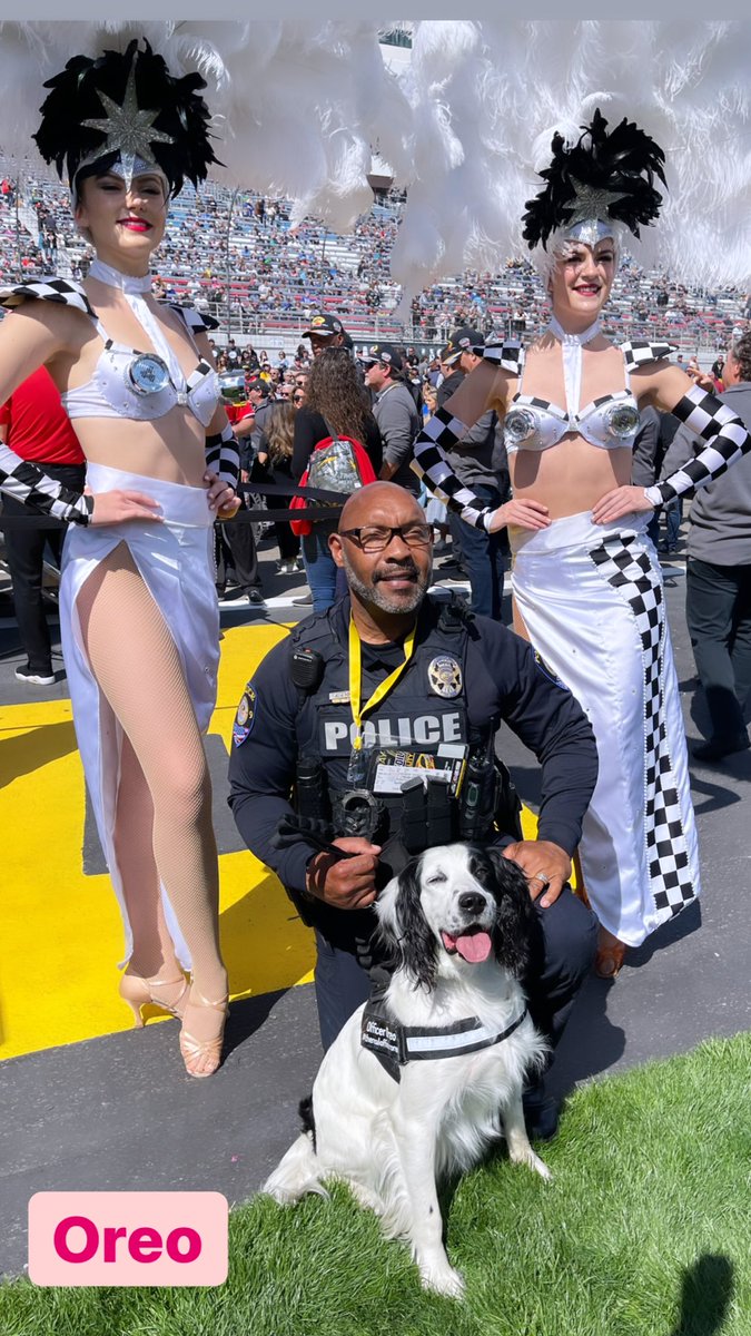 JamieLittleTV's tweet photo. Las Vegas editionโฆ#TrackDogs https://t.co/uWrviGLCP0