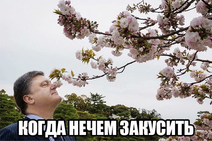DENIS_DEN03's tweet photo. @CAMAPA__enT @schlimasl А вот https://t.co/ABjyvB2uWj