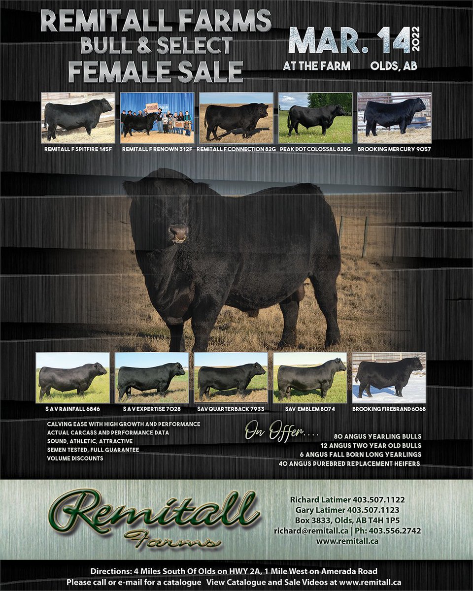 Thank you to one of #cdnangus Angus Life magazine’s advertisers! Make plans to attend the Remitall Farms Bull and Select Female Sale on March 14, 2022 at Olds, AB. For more details: remitall.ca
