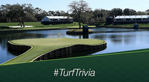 #TurfTrivia: The #PlayersChampionship tees off this week at TPC Sawgrass, and we all know it boasts 100% bermudagrass on the Stadium Course. But what specific strain do they use on the greens? 

A. Tifdwarf
B. Tifway 419
C. Celebration®
D. MiniVerde®