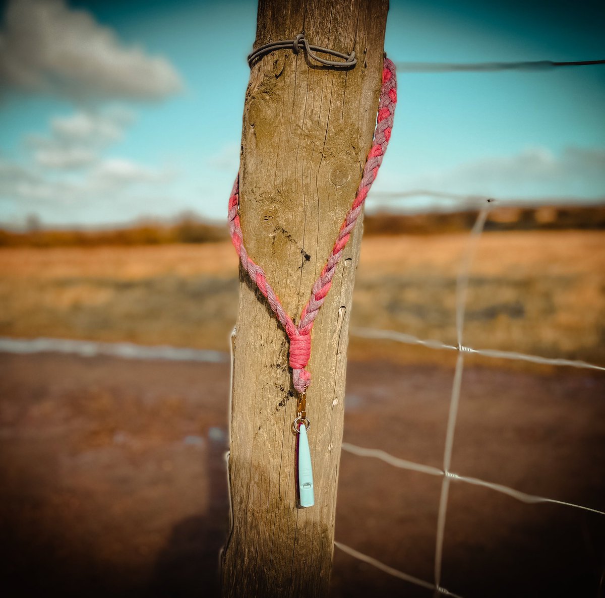 Our brand new lanyards are perfect for walkies time. They’re great for keeping your dog whistle handy, or even holding your keys and so much more! These are totally customisable with a wide range of colour options.

Shop here: thehappypawscompany.uk/product/lanyar…

#DogsofTwittter #walks