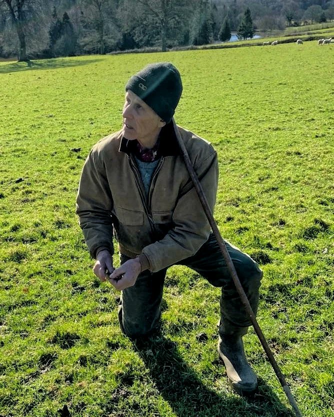 jacobsladderfms's tweet image. Investigating our soil during a recent visit from the wonderful Edmund Sutcliffe. Our ground cover needs more work but our earthworm levels are excellent!
