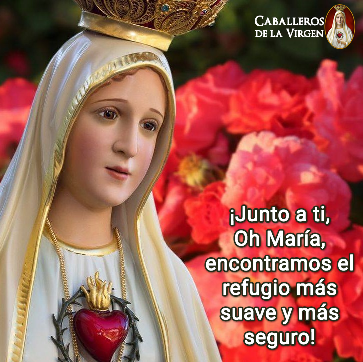 Cab_Virgen's tweet photo. Cuando nos sintamos cansados y oprimidos por el peso de nuestras culpas, no nos desanimemos, sino busquemos refugio en el Corazón Inmaculado de María Santísima. https://t.co/GKpSsuUmfw