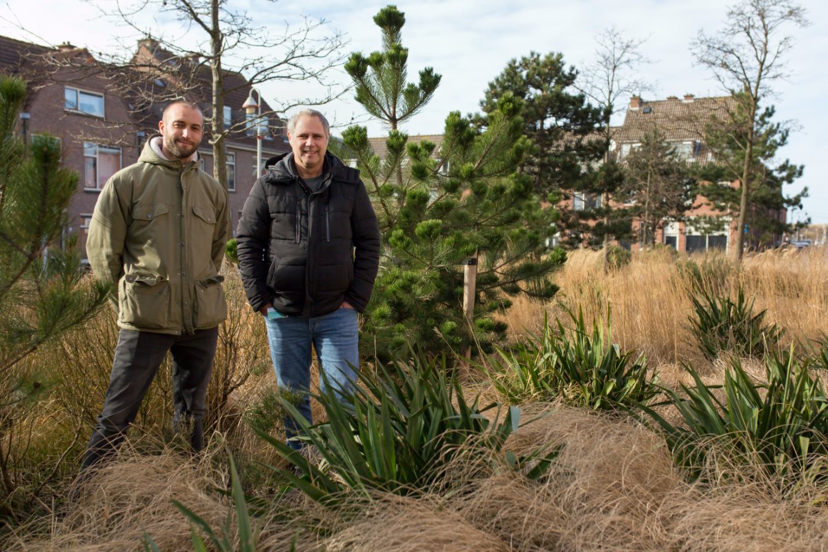 Meer groen, minder steen. 🌿 Bewoner Michiel uit Duindorp mist het groen in zijn wijk. "Dat moet anders en dat wordt het gelukkig ook", zegt hij. Lees over vergroening van stadsdeel Scheveningen <a href="/SD_Scheveningen/">Stadsdeel Scheveningen</a> op het Haagse Groen ⤵️
bit.ly/3vQ9Fjc