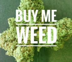 Guys, please help reach my goal - Buy me some w33d  https://t.co/75OvYP1p13 Find it on #ManyVids! https://t<a href="/tag/manyvids"class="tags"><span>#manyvids</span></a>