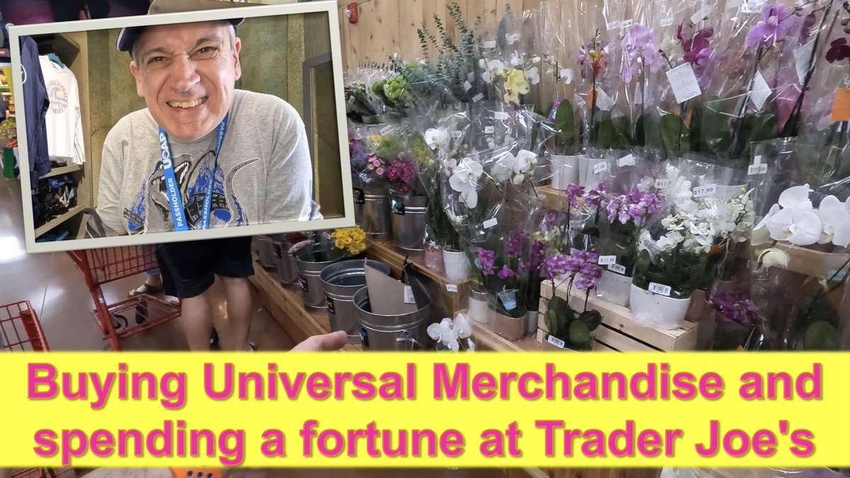 ThemeParkBazza's tweet photo. Mondays Vlog,
Buying Universal Merchandise and spending a fortune at Trader Joe's
https://t.co/kNTe4XQXHU
#universalorlando #islandsofadventure #hogwartsexpress #chexalcatraz #todaycafe #traderjoes #themeparkbazza #vlogger #universalstudios https://t.co/pjDbqi0JWj