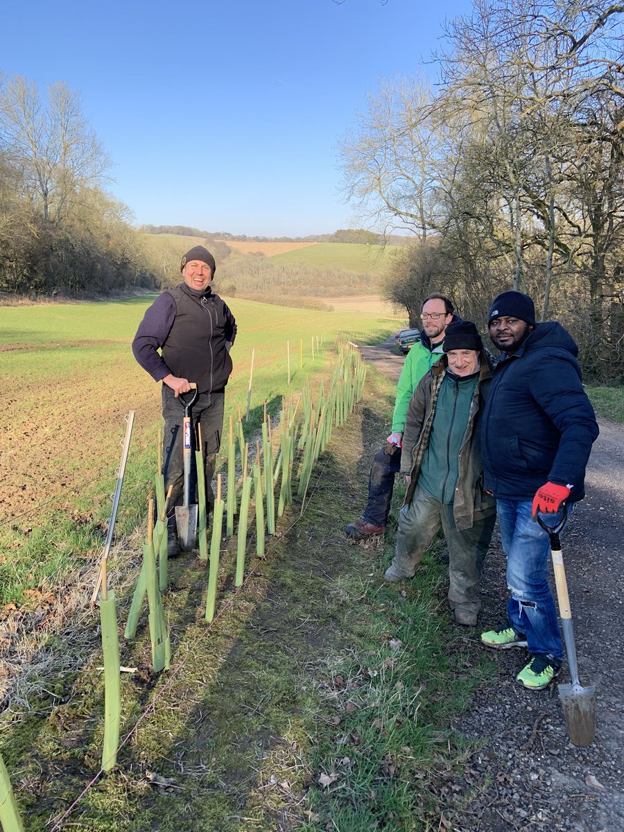 FWAGSE_Dormouse's tweet photo. Great day hedge planting today with volunteers from Network Rail, supported by the @TreeCouncil. Making a total 2.5km planted this winter as part of the project. @FWAGSouthEast https://t.co/ol616SH73c