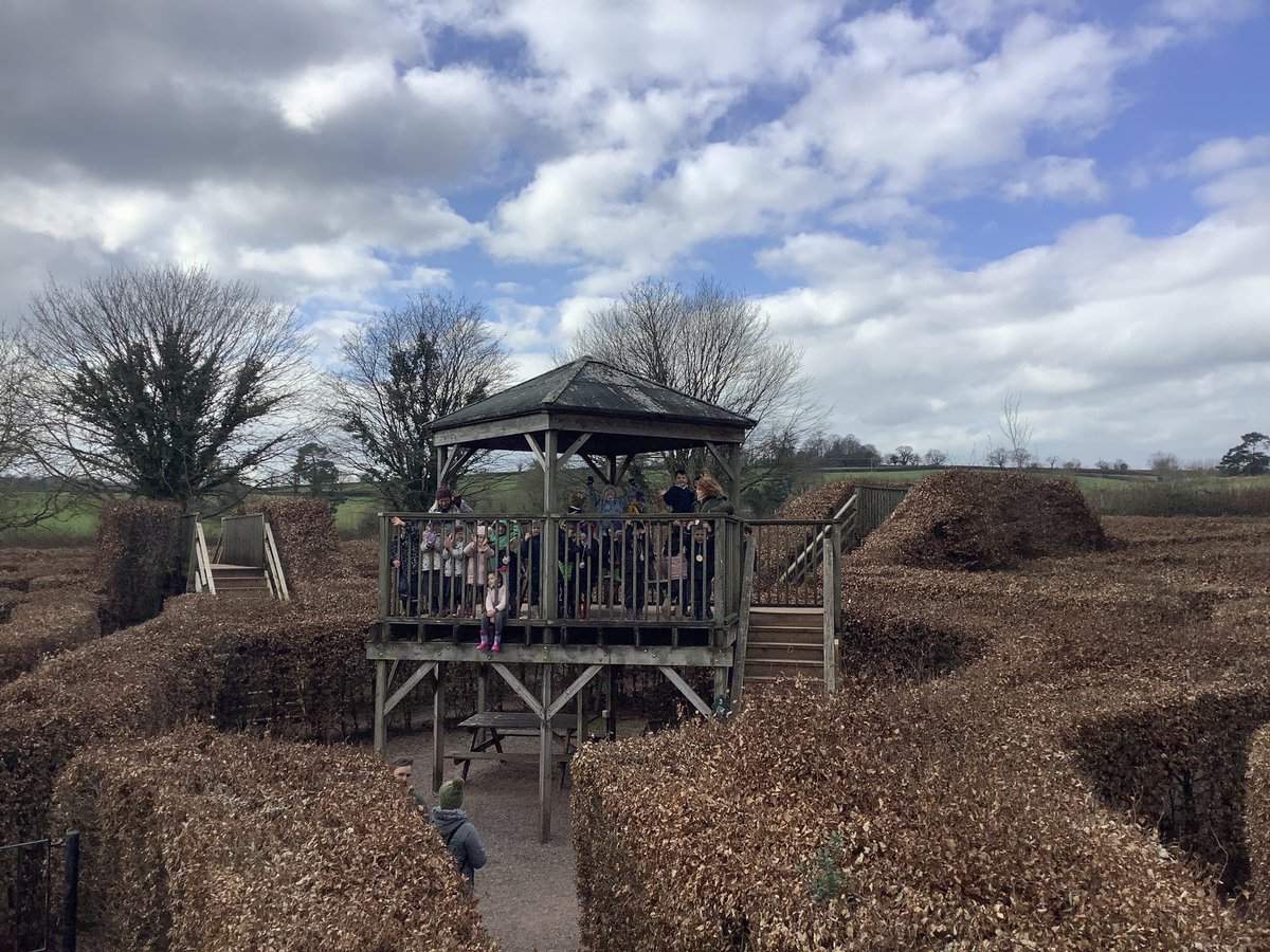 Kingston Black tweet media