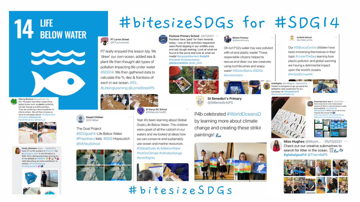 We the brilliant bite-sized connections made to #SDG14 shared by schools around the world 👏

We urge you to stay motivated & continue to inspire generations to achieve the #SDGs & protect our #LifeBelowWater 🐟

Tag #bitesizeSDGs as 'Collaboration is Multiplication.'