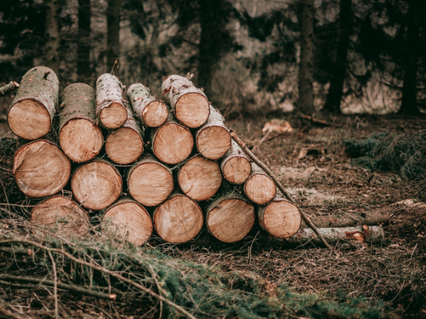 Al het hout afkomstig uit Rusland en Wit-Rusland is ‘conflicthout’ en kan daarom  niet worden gebruikt in PEFC-gecertificeerde producten, aldus het bestuur van PEFC International. We zullen de komende dagen verdere richtlijnen publiceren ow.ly/fBs350IbWbF
#StandWithUkraine