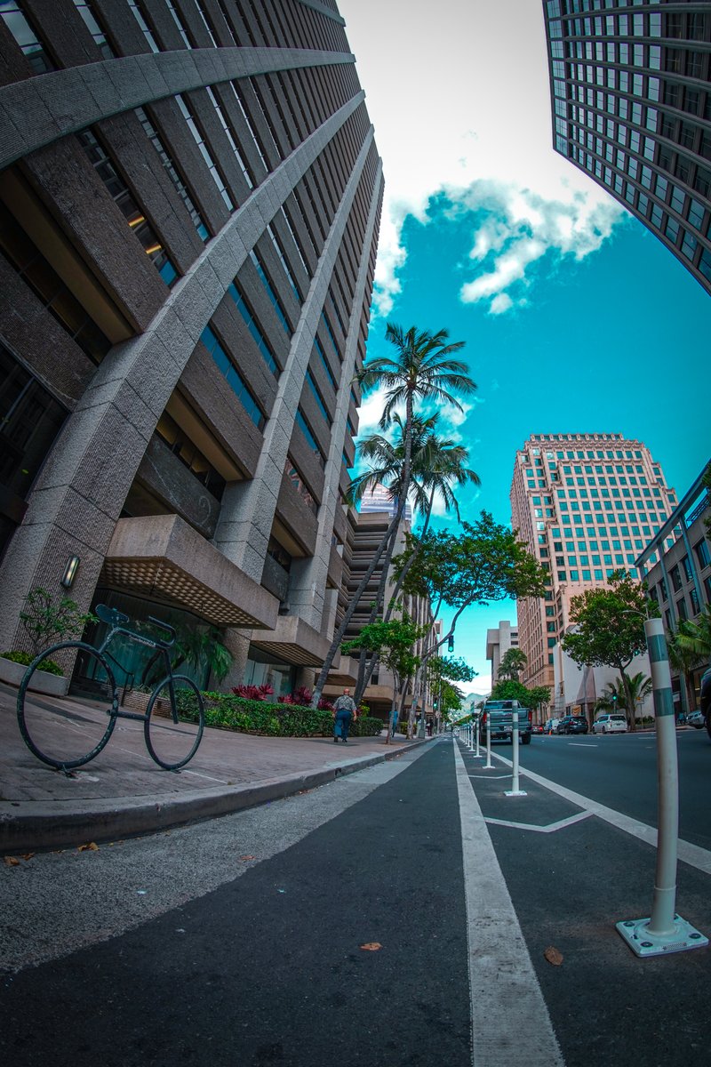 hnldts's tweet image. Protected bike lane? You got it. 

We added delineators along the Alakea #Bikeway so you can safely ride from King Street to Hotel Street!

This bikeway will connect with the upcoming extension of the King Street protected bikeway (later this year).