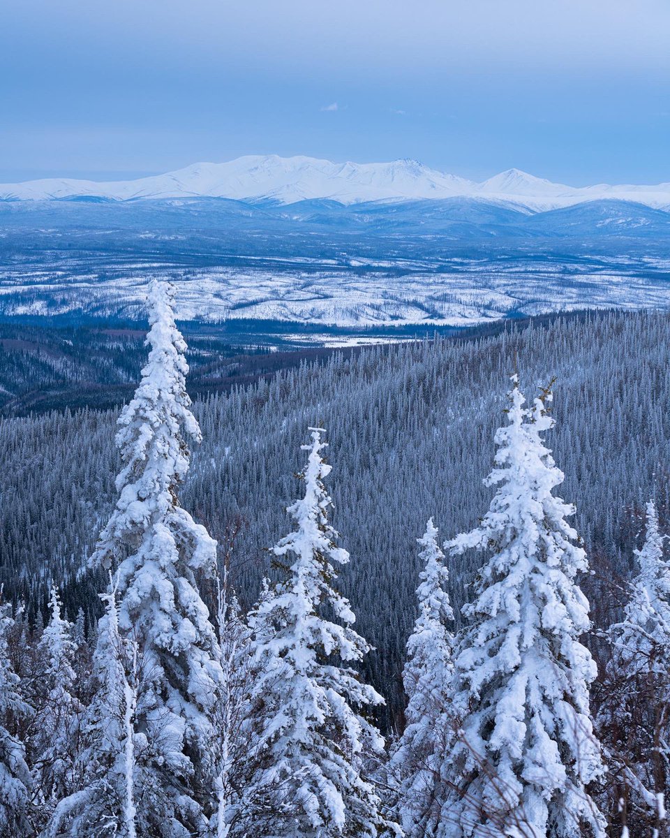 Alaska is on a whole other level of beauty. While driving up the Dalton Highway to the Arctic Circle, we were greeted with this breathtaking view overlooking snow-covered trees and mountains as far as the eye could see.