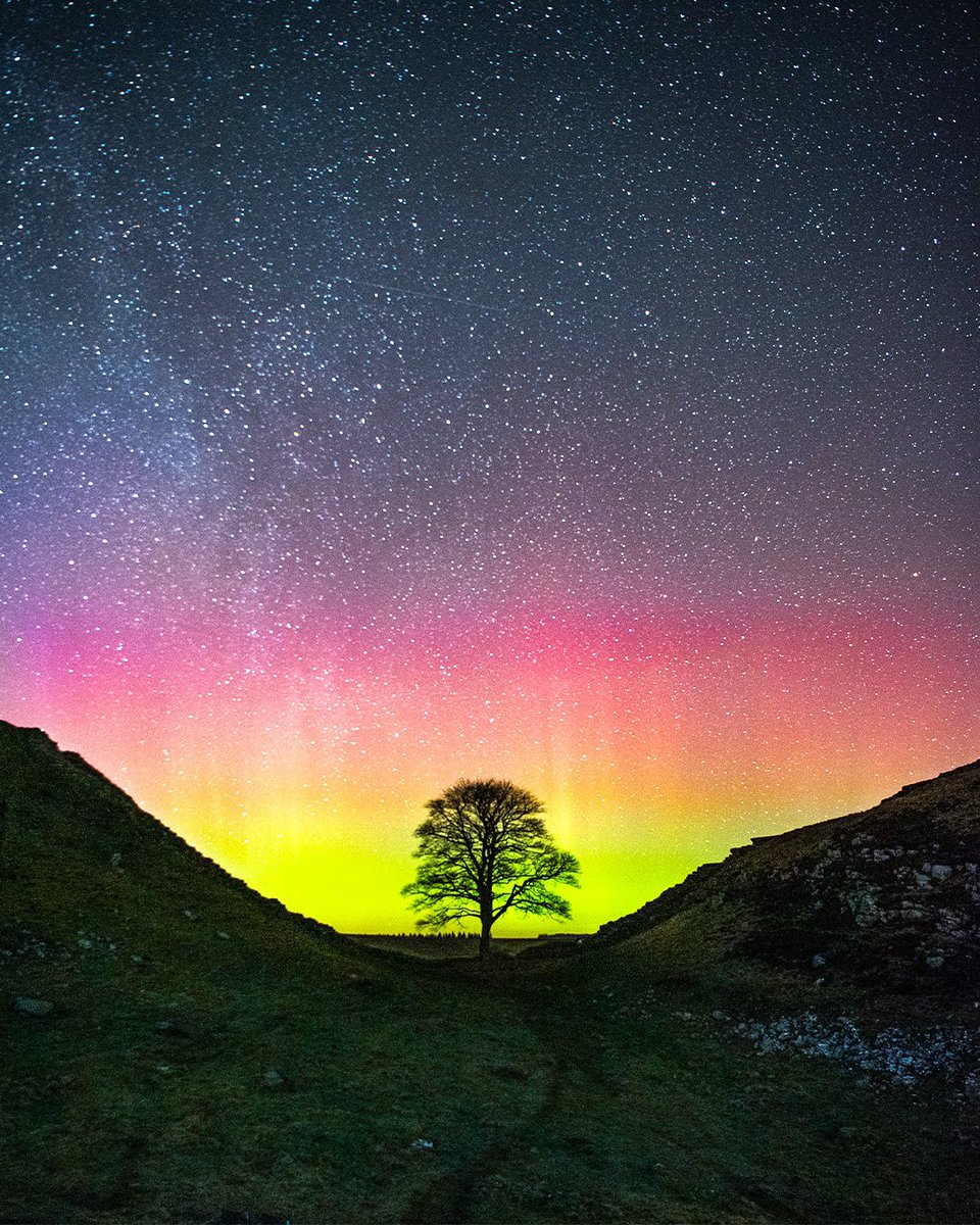 Dan Knight Wildlife Photography & Workshops tweet media