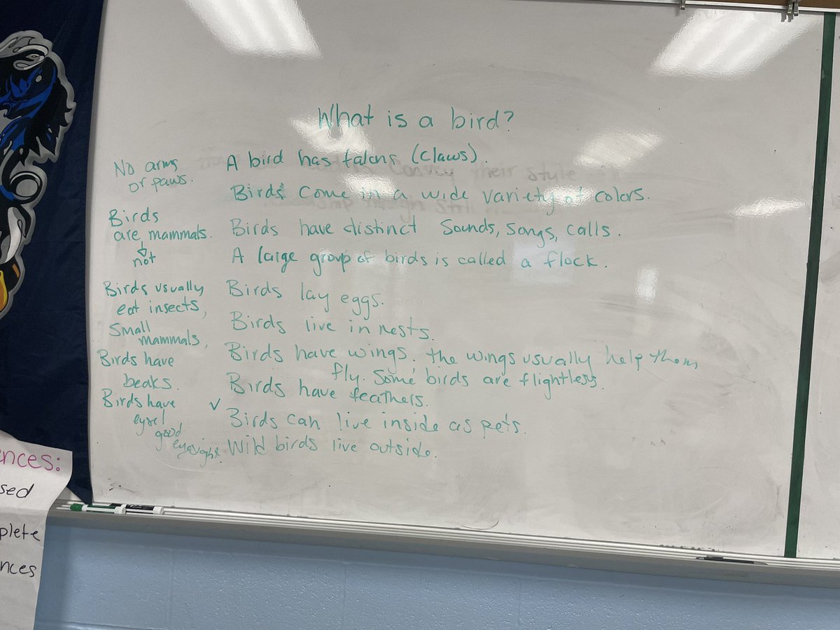 writingheroes's tweet photo. Grade 7 readers learn to create their own criteria: what is a bird? Then applying their criteria to Porg. Is a Porg a bird? Then moving on: What makes a book sci fi? What criteria can we use to evaluate? #collaboration @LearnWithMFern_ @WatsonBryan7 https://t.co/yNnASITeGz