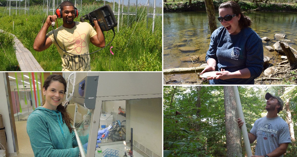 SmithsonianEnv tweet media