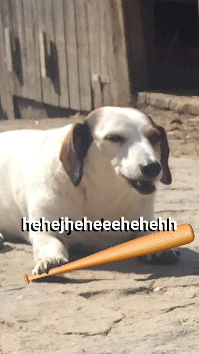 By Admin.

Hehehehehe

follow #bonkmemescurator for more fresh #DOBO  memes.
#bonkingsday #ComfyBonk  #DogeBonk #DOBO $DOBO $DOBO.X #comfyBonk #bsc #bnb #binance #binancesmartchain #BSCGems #BSCGem #cryptocurrencynews #memecoins #memecoin #bonk #sorryelon #firstcryptoinspace