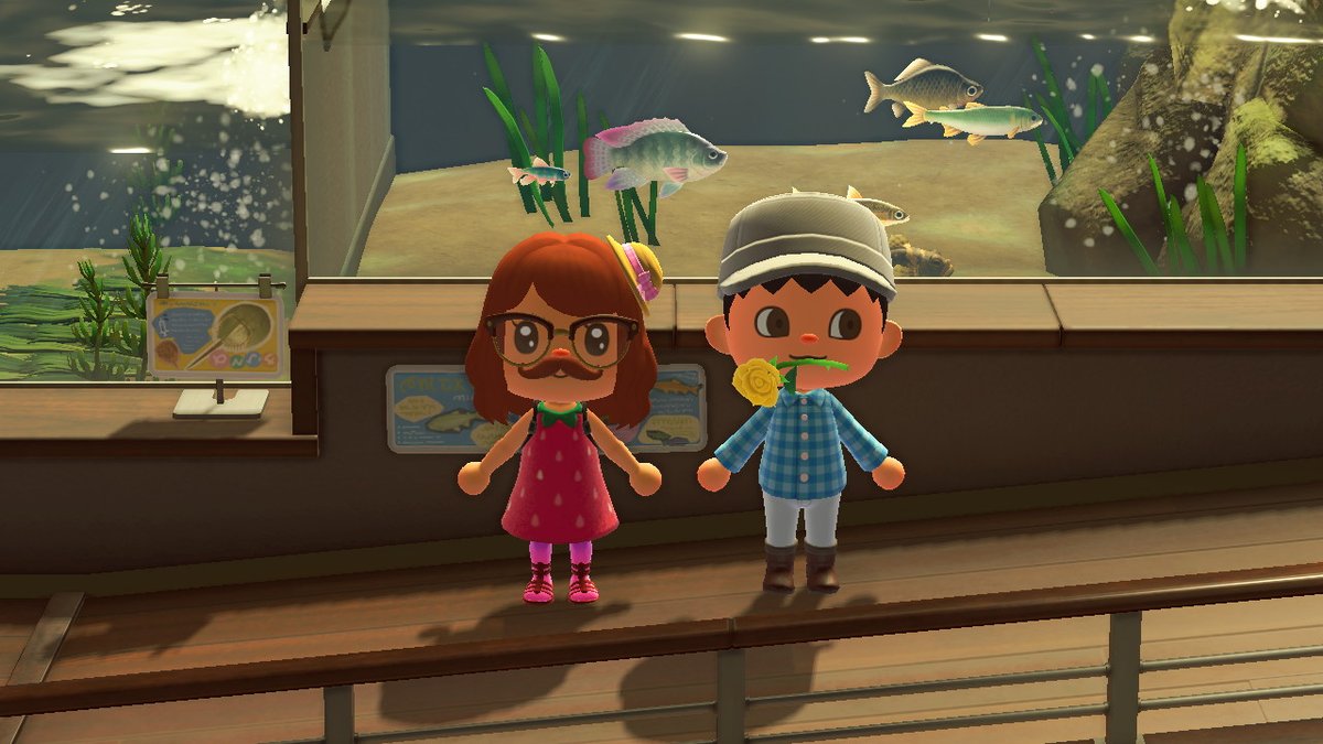 tu_cola_'s tweet photo. #AnimalCrossing #ACNH #NintendoSwitch https://t.co/QB0pfizyND