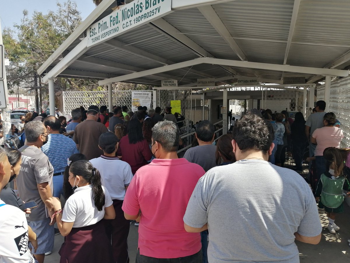 La pandemia fue una farsa ...