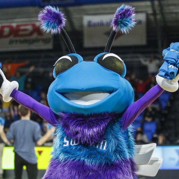 YMCAGreensboro's tweet photo. Y Night with the @GreensboroSwarm was full of fun! Thanks to our community, we raised more than $3,000! The funds raised through the auction and game will support our annual campaign.🙌

➡️Read more about this incredible evening: https://t.co/XvVRlWQ7Si https://t.co/ODsd9eLTnQ