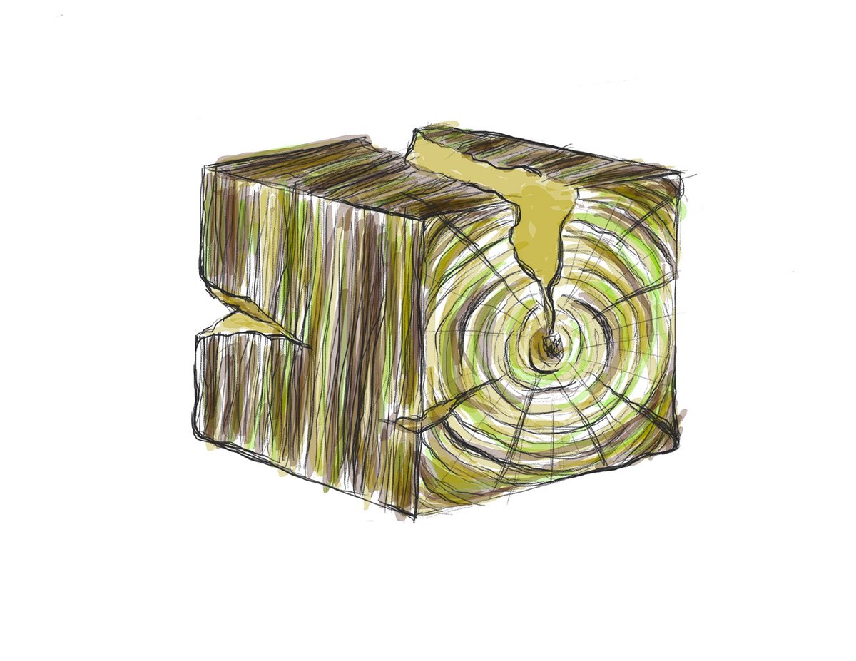 abiriry's tweet photo. #AbiSketchZ
Estudios de madera https://t.co/ZgK8CNLkWT