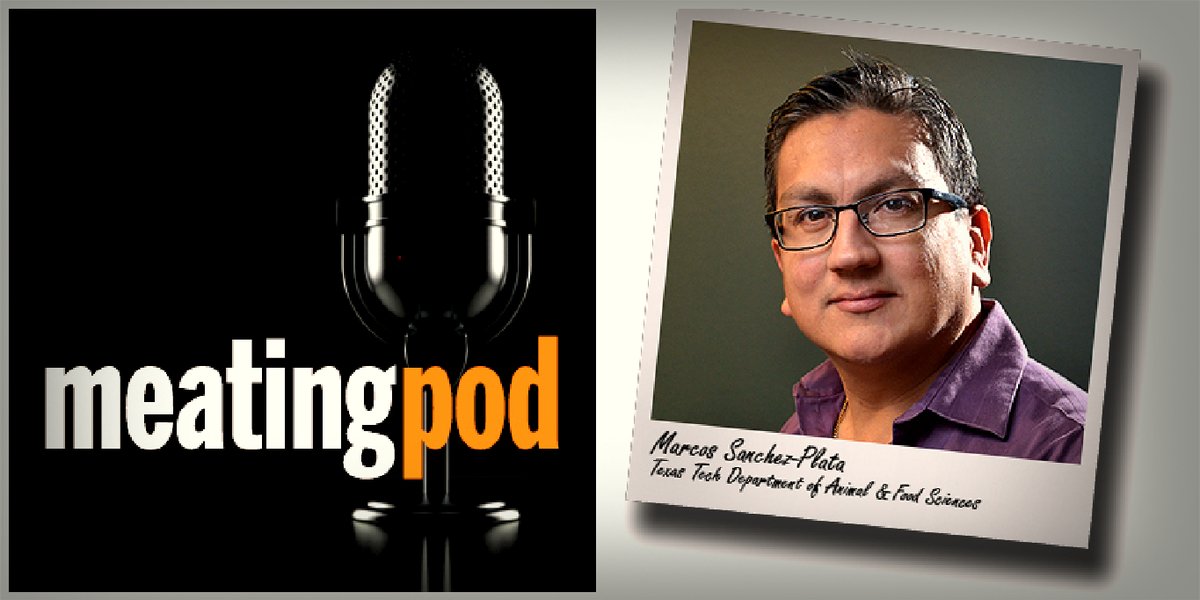 MPScienceEditor's tweet image. We're talking what's new in applied and actionable science in poultry processing, with Dr. Marcos Sánchez-Plata, associate professor of global food security, Texas Tech in the new episode of #MeatingPod. meatm.ag/meatingpod #meatscience