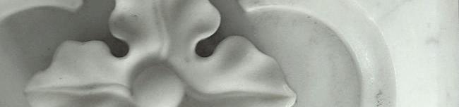 Our March Newsletter Keeps You Connected!
conta.cc/3hIbiY9