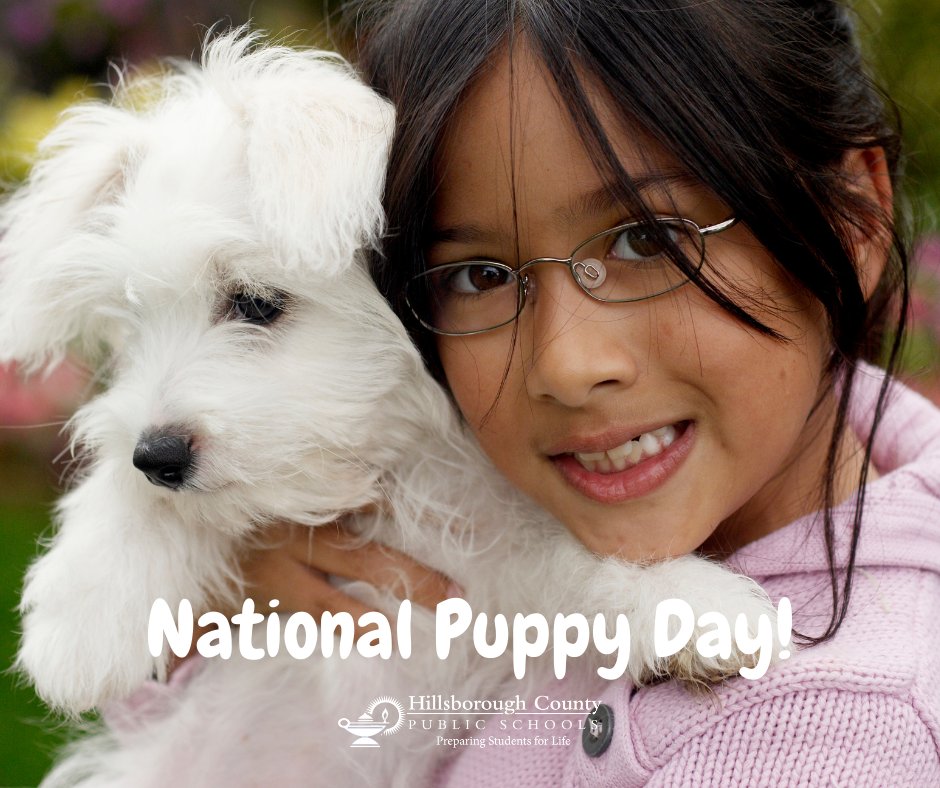 Hillsborough Virtual School tweet media