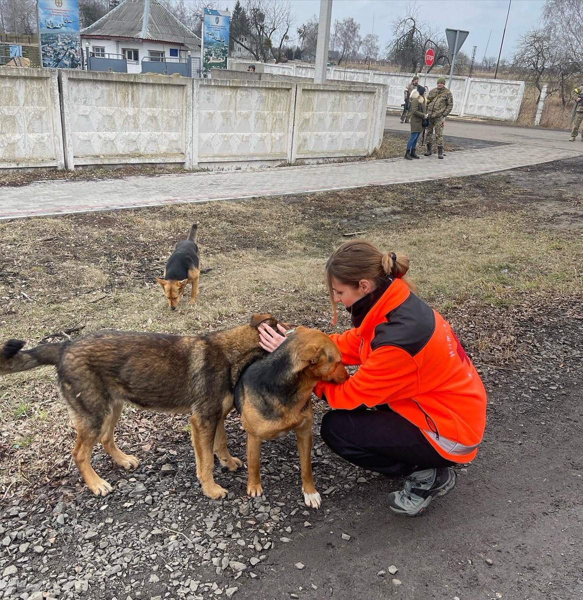 ZbigniewHoldys's tweet photo. Akcja #AnimalHub - kooperatywa ratująca życie zwierząt z Ukrainy. To trzy organizacje ściśle współpracujące ze sobą.
Dolnośląski Inspektorat Ochrony Zwierząt https://t.co/5XY5riUMFK
Schronisko Pegasus https://t.co/EhSn5ReSU6
Centrum Adopcyjne "Ada"
https://t.co/GcFtyHntM6 https://t.co/FF48VX4hiS
