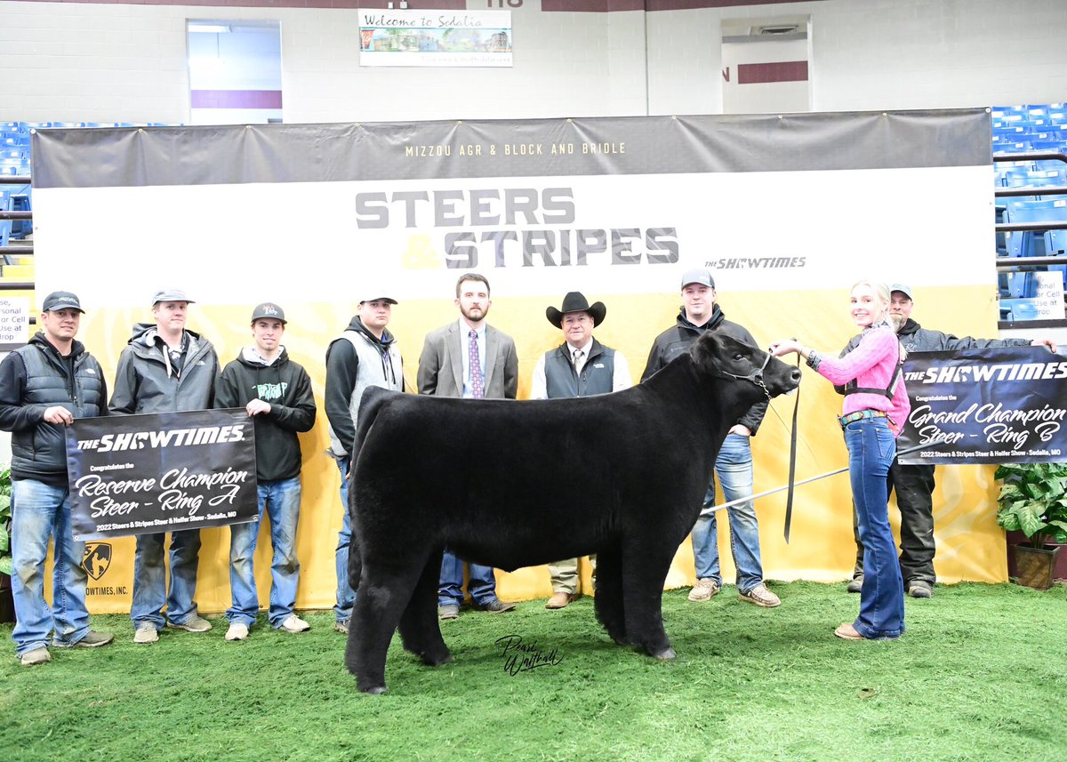 Grand Champion Steer Ring B Reserve Champion Ring A 2022 MO AGR Steers &amp; Stripes exhibited by the Runkel family!! Raised by Riley Jansen/Tim Holm sold by Rodgers Livestock/CEG!!