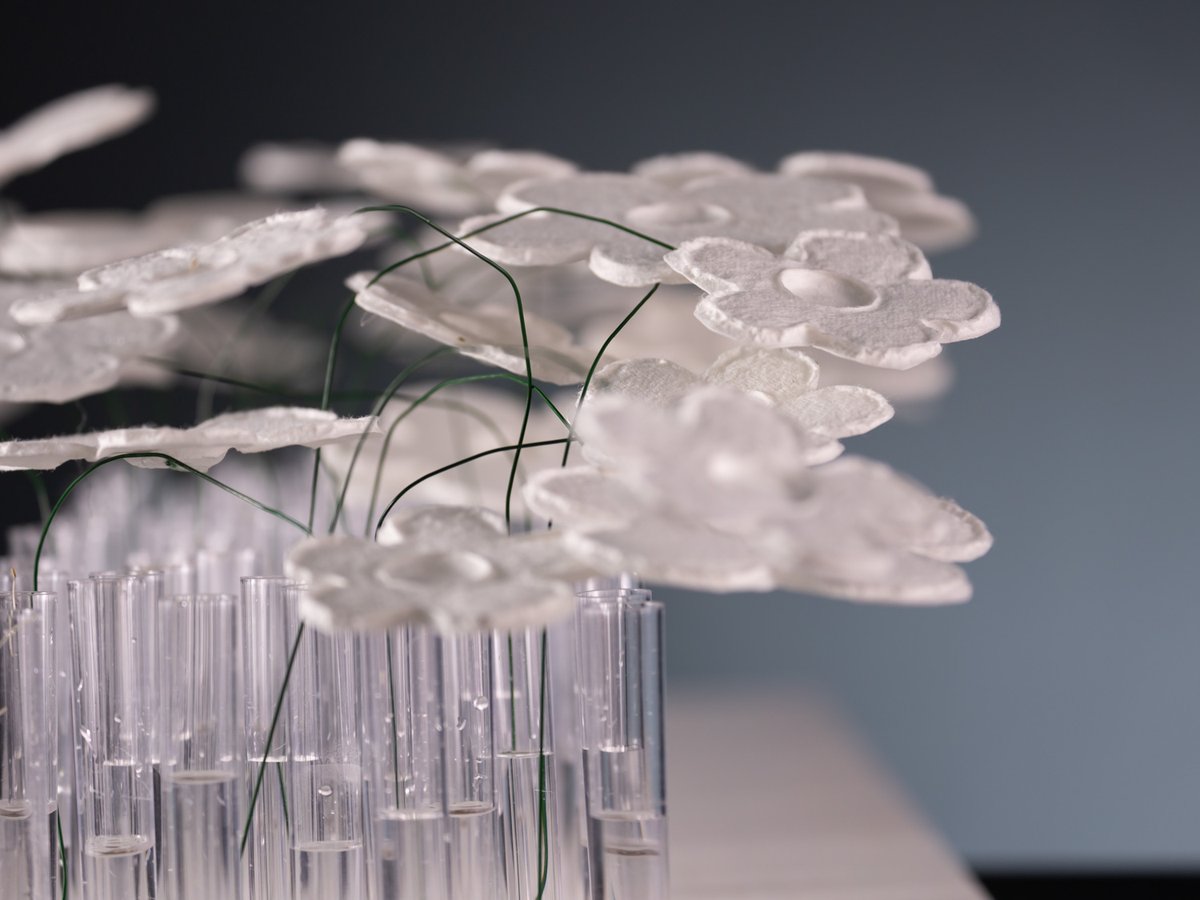 FLOOSWEB's tweet photo. Paper interconnection >> The last floral recipe from #CarlesJFontanillas for FLOOS is an elegant composition of soft tones, a perfect proposal for the arrival of spring.

https://t.co/CMxZAS5MVZ

#FLOOS #DiY #TheCraftersSecret #StepByStep #MasterFlorists #Flowers #Florists https://t.co/OCOA78P1ye