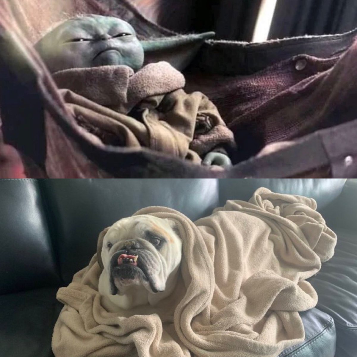 Ben Potts tweet media