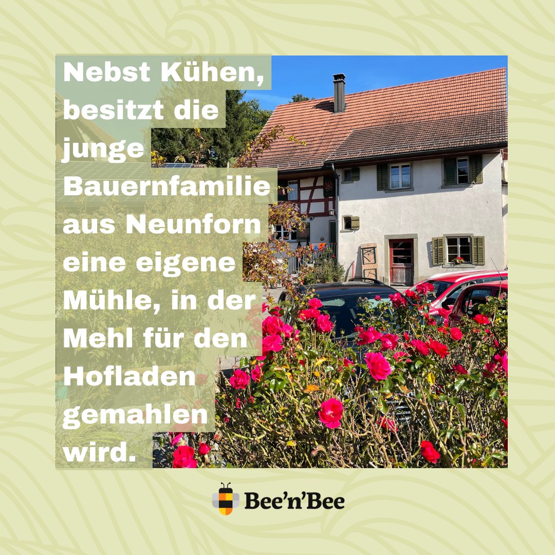 beenbee_ch's tweet photo. Maja Grunder und das Crowdfunding-Projekt:
Ein Naturteich für seltene Amphibien und Pflanzen. 🌱🪰

🐝🌼🐝
https://t.co/LJTyopDzM7

#beenbee #crowdfunding #biodiversität #biodiversitätschweiz #ökosystem #klimaschutz #naturschutz  #artenvielfalt #schweiz #amphibien #naturteich https://t.co/YA3UQ2ljrI