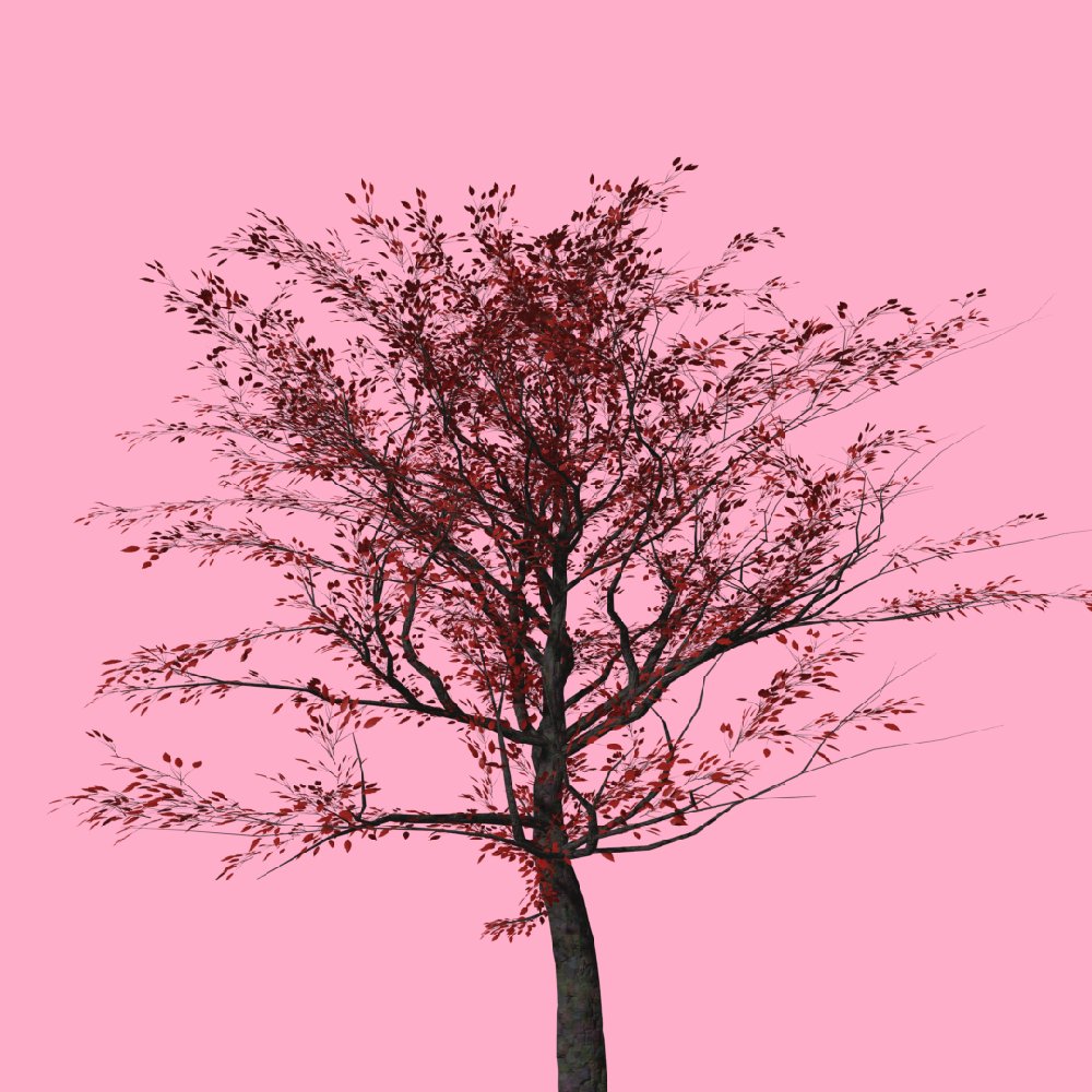 GreenbaseNFT's tweet photo. What's your favorite kind of tree?

#NFT #DigitalArt #MintDate #ComingSoon #Solana #Blockchain #Crypto #SaveTheTrees https://t.co/qRpBZGWlMa