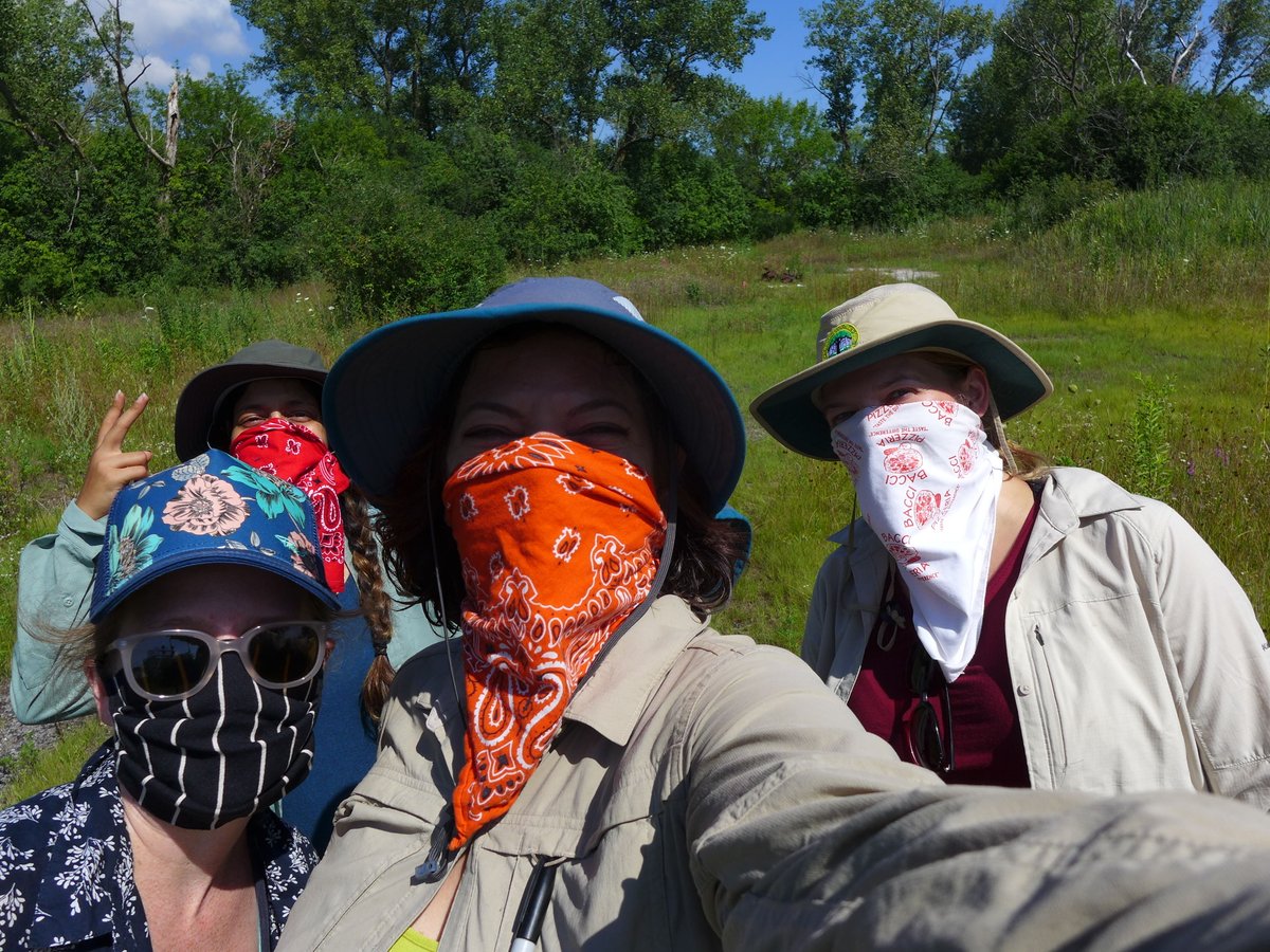 alison anastasio tweet media