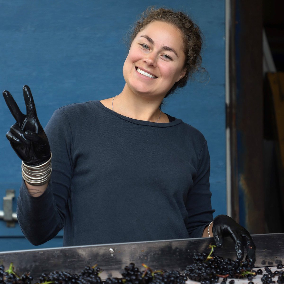 chehalemwines's tweet photo. Applications for Harvest 2022 are now being accepted. We are looking for interns who are passionate about wine, have a positive attitude, and are detail oriented. The position starts in mid August and will run into November. 
https://t.co/tEB9ILLgeQ
#winejob #jobsearch #winelover https://t.co/dN3lKkREY0